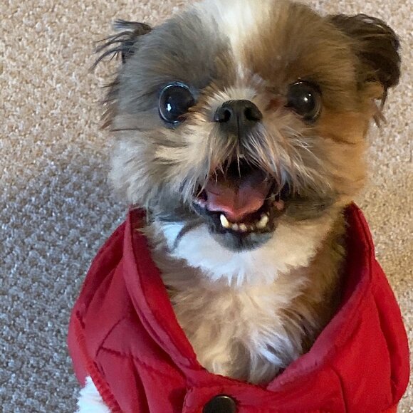 Meet your Posher, Tracy - Picture 1 of 1